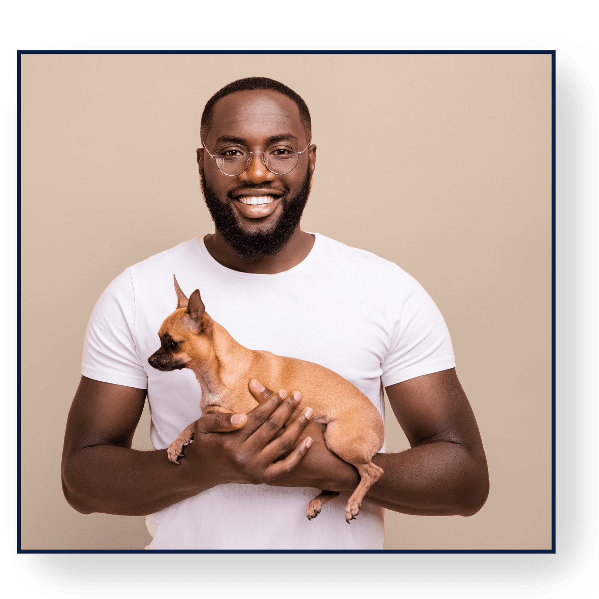 Home Harbor.vet by Suveto