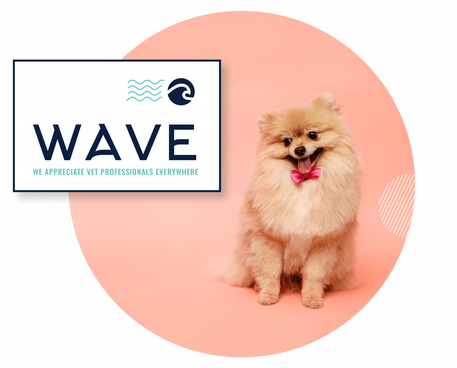 Home Harbor.vet by Suveto