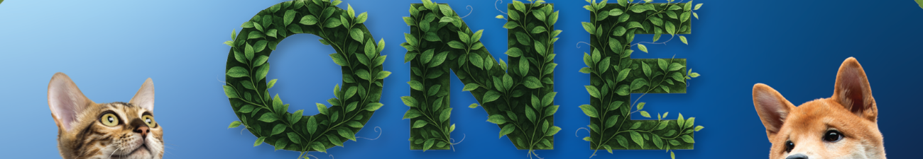 ONE Connected Culture: Team Engagement Workshop